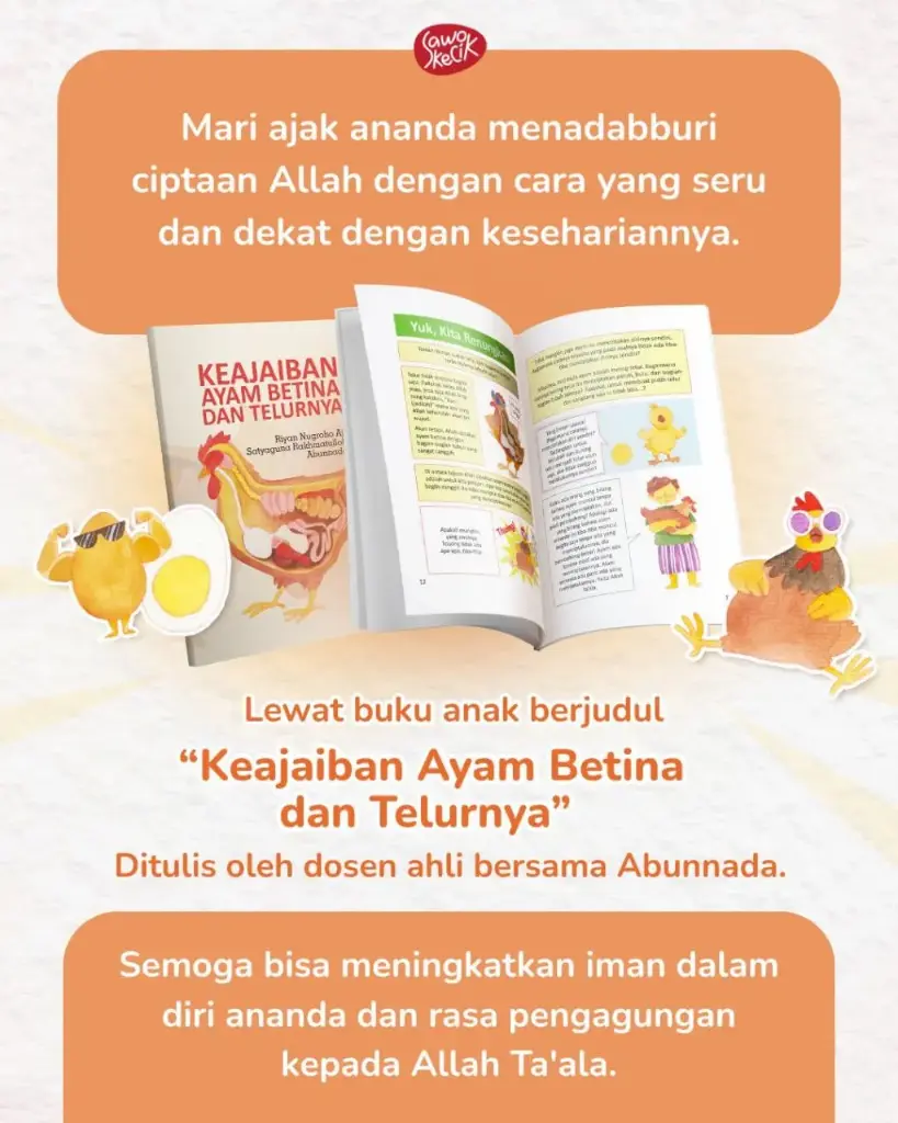 (Tebus Murah) Keajaiban Ayam Betina dan Telurnya, Sawo Kecik