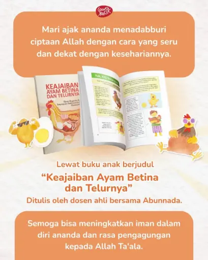 (Tebus Murah) Keajaiban Ayam Betina dan Telurnya, Sawo Kecik